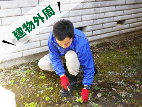 アプローチ 除草剤散布 除草作業