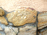 e6636f55.jpg